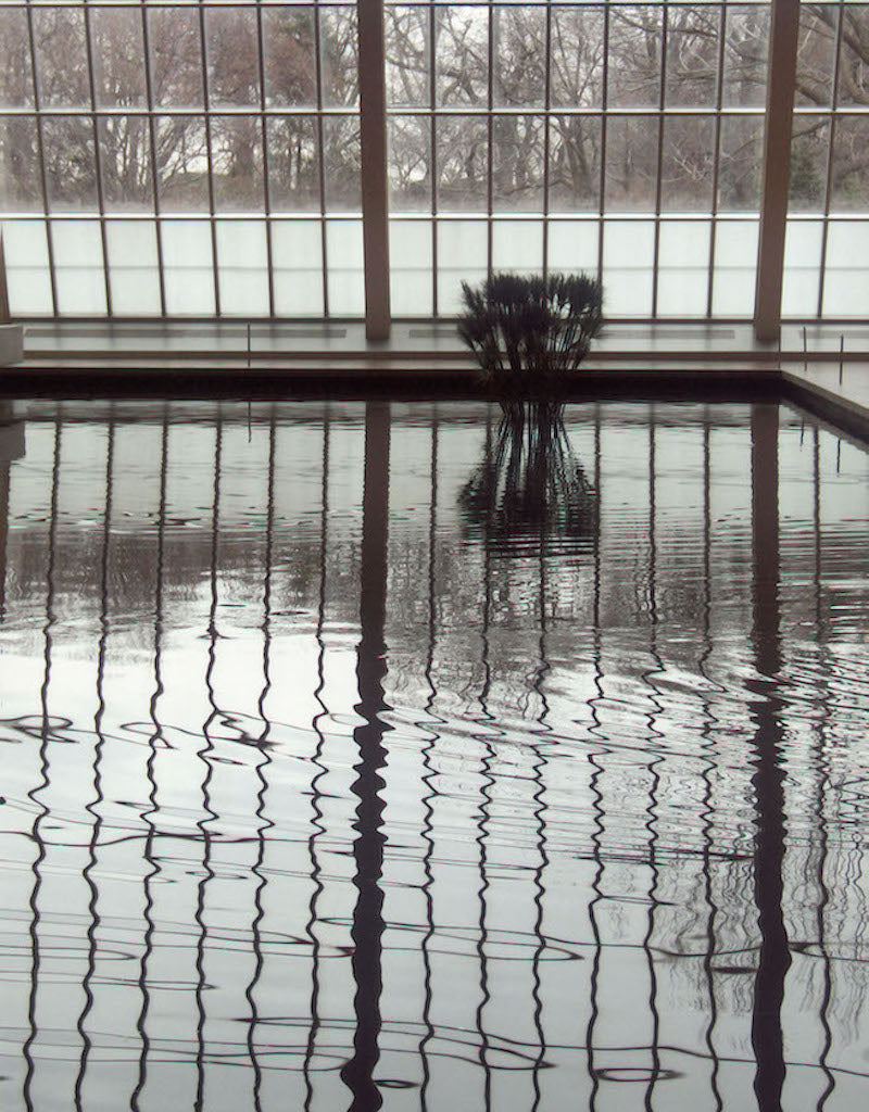 Reflections - NYC