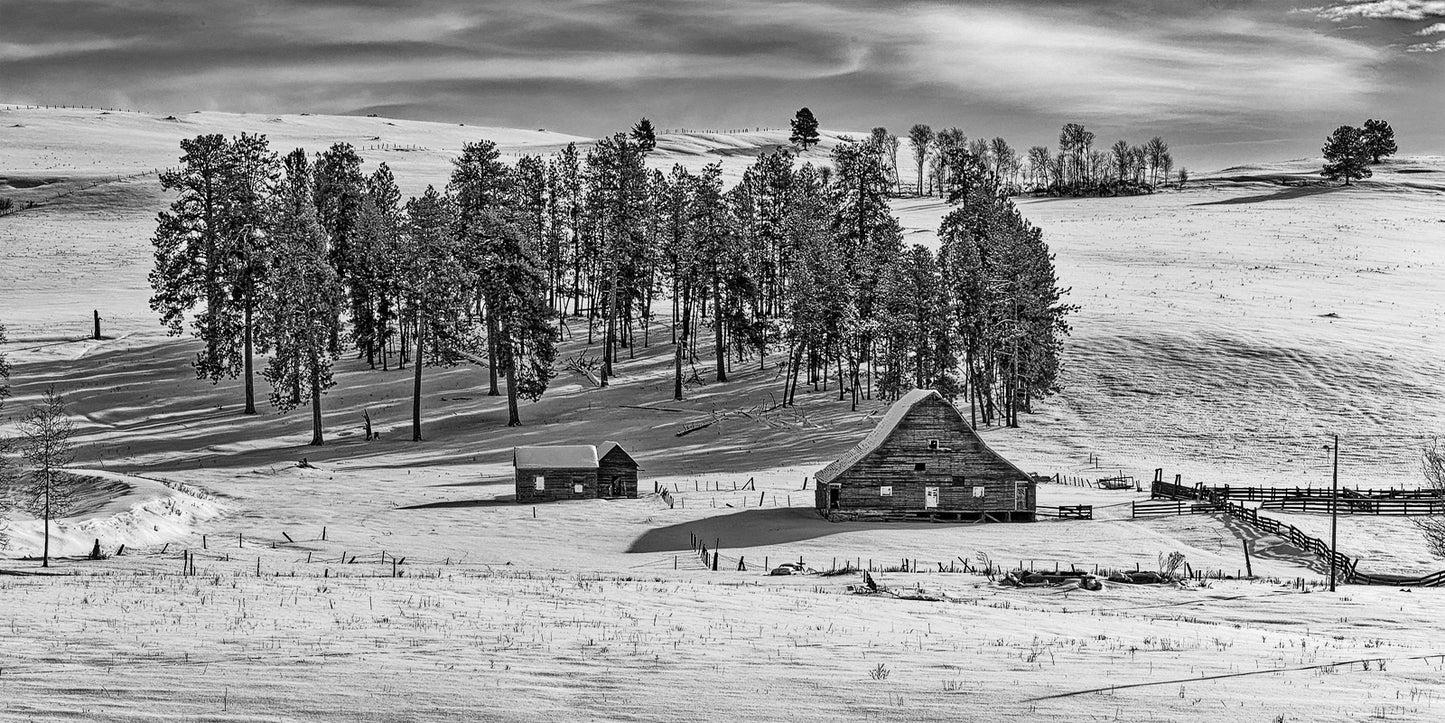 The Old Barn