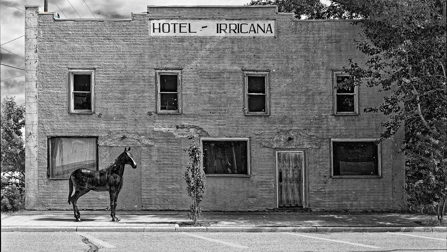 Not a One Horse Town