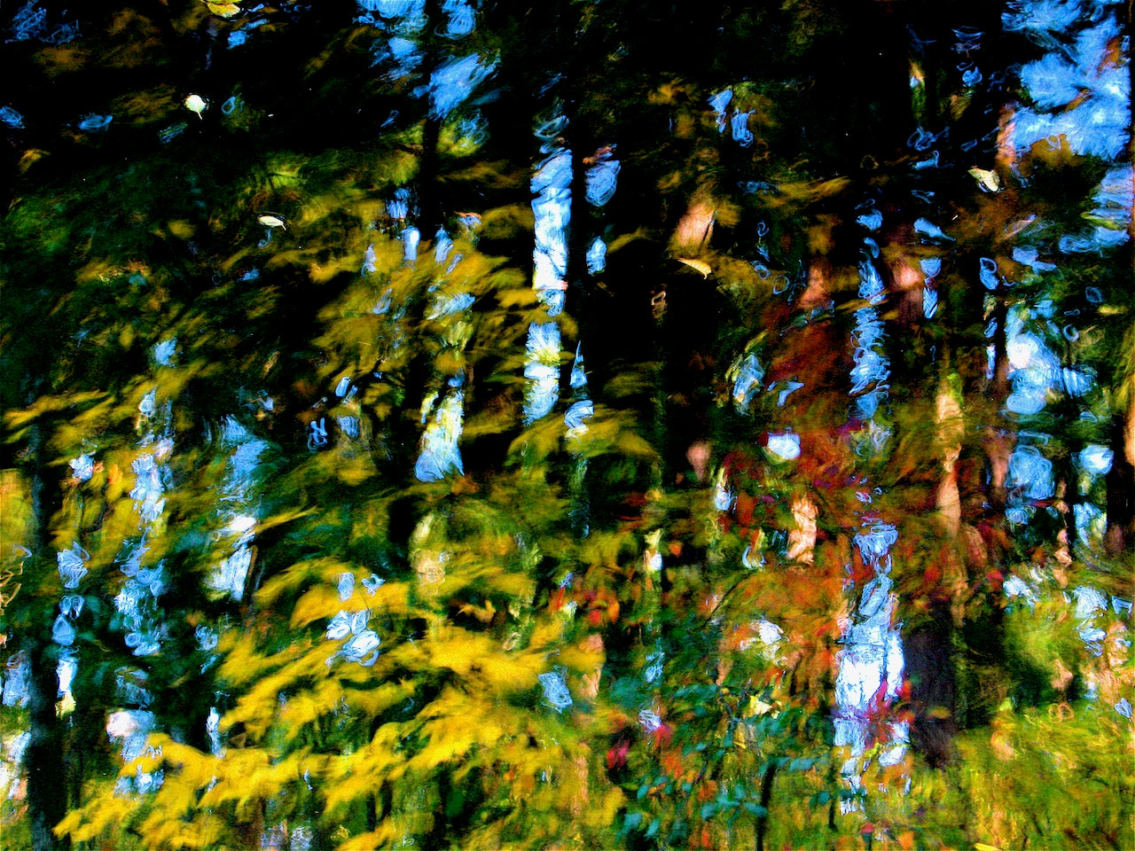 Autumn Pond I