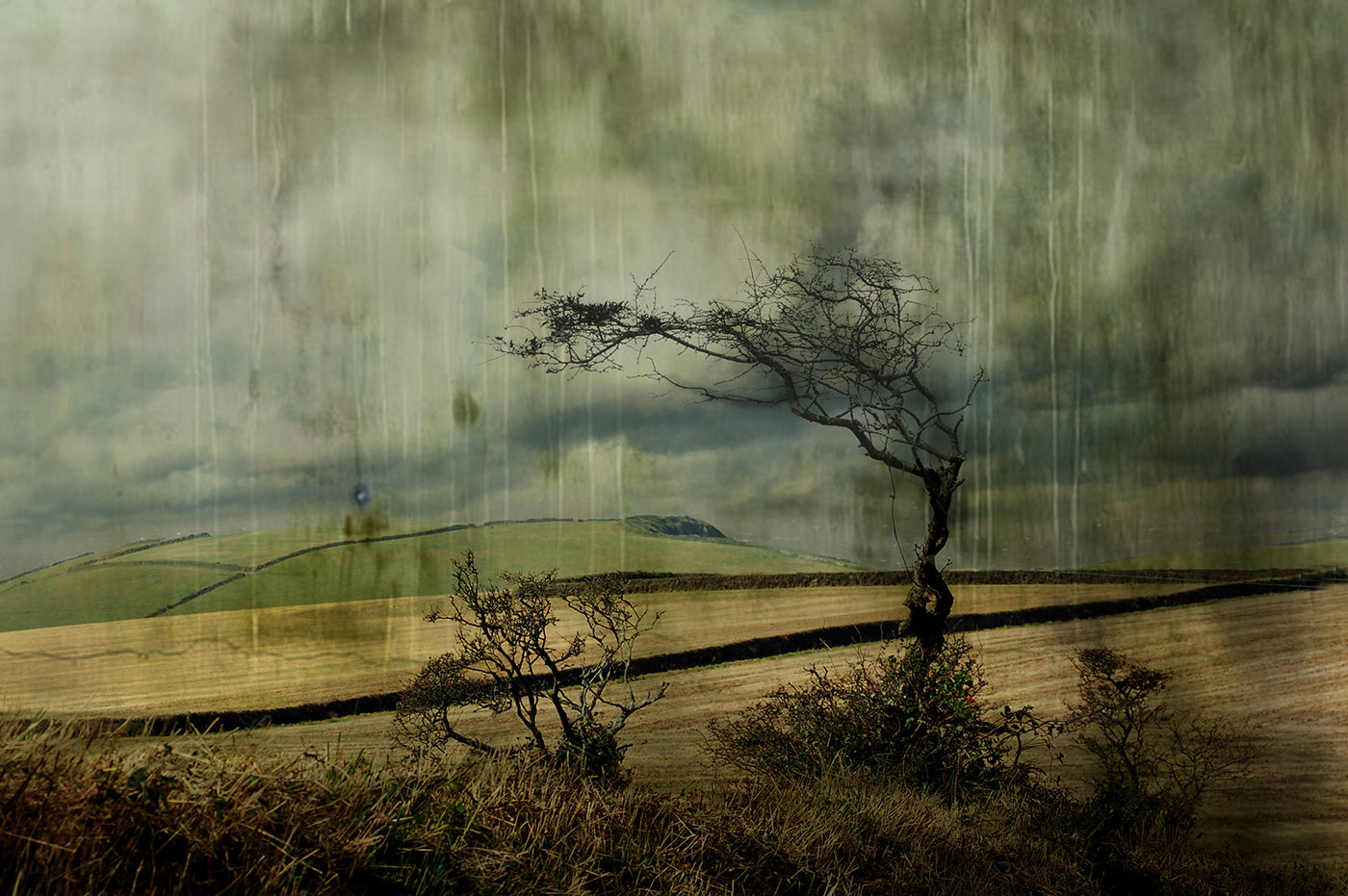 Landscape Weep for Me
