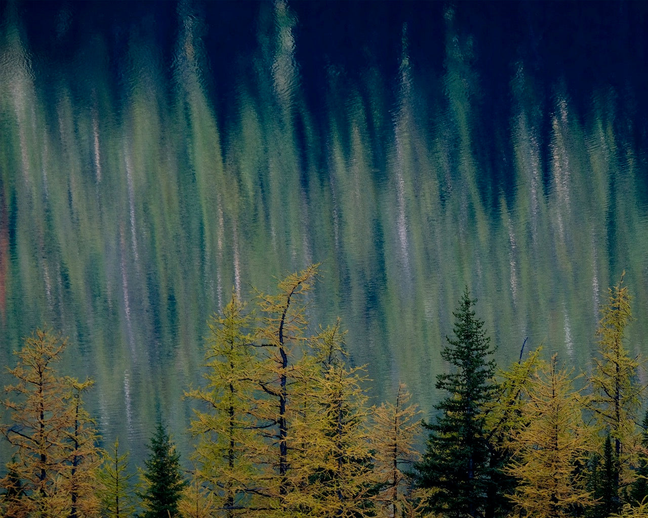 Tree Reflection