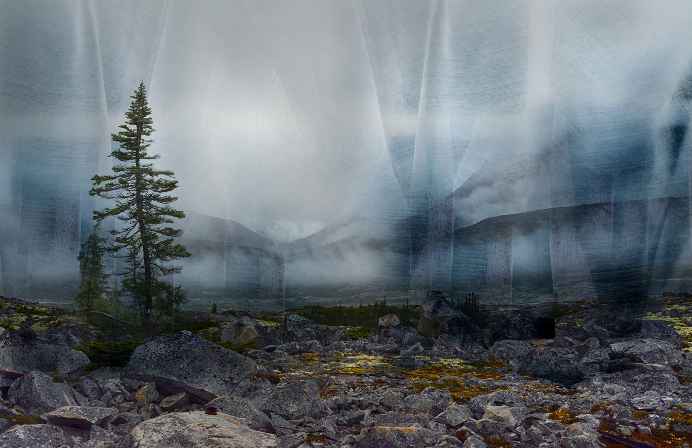 Northern Light