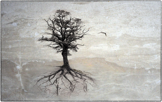 And a Bird Flew from It