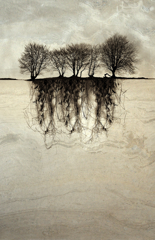 Deep Rooted