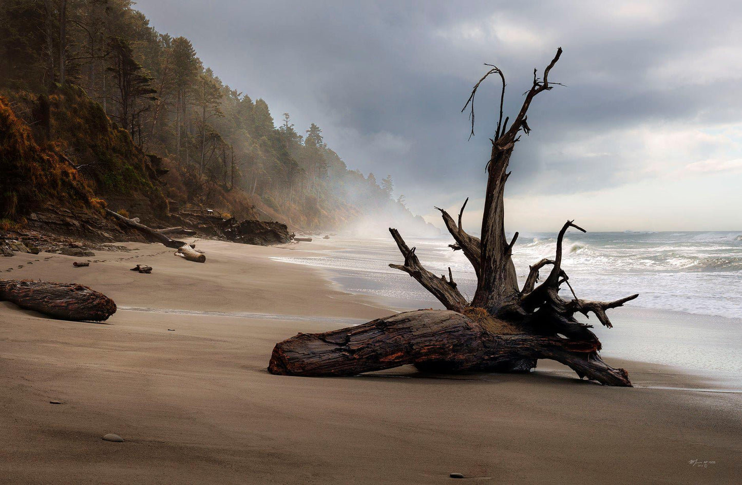 Lonely Beach