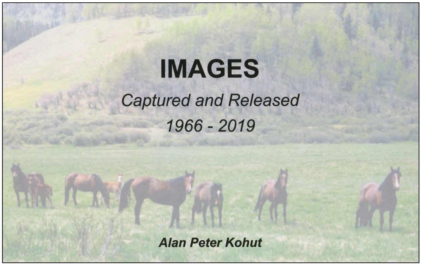 Images, Captured and Released 1966-2019