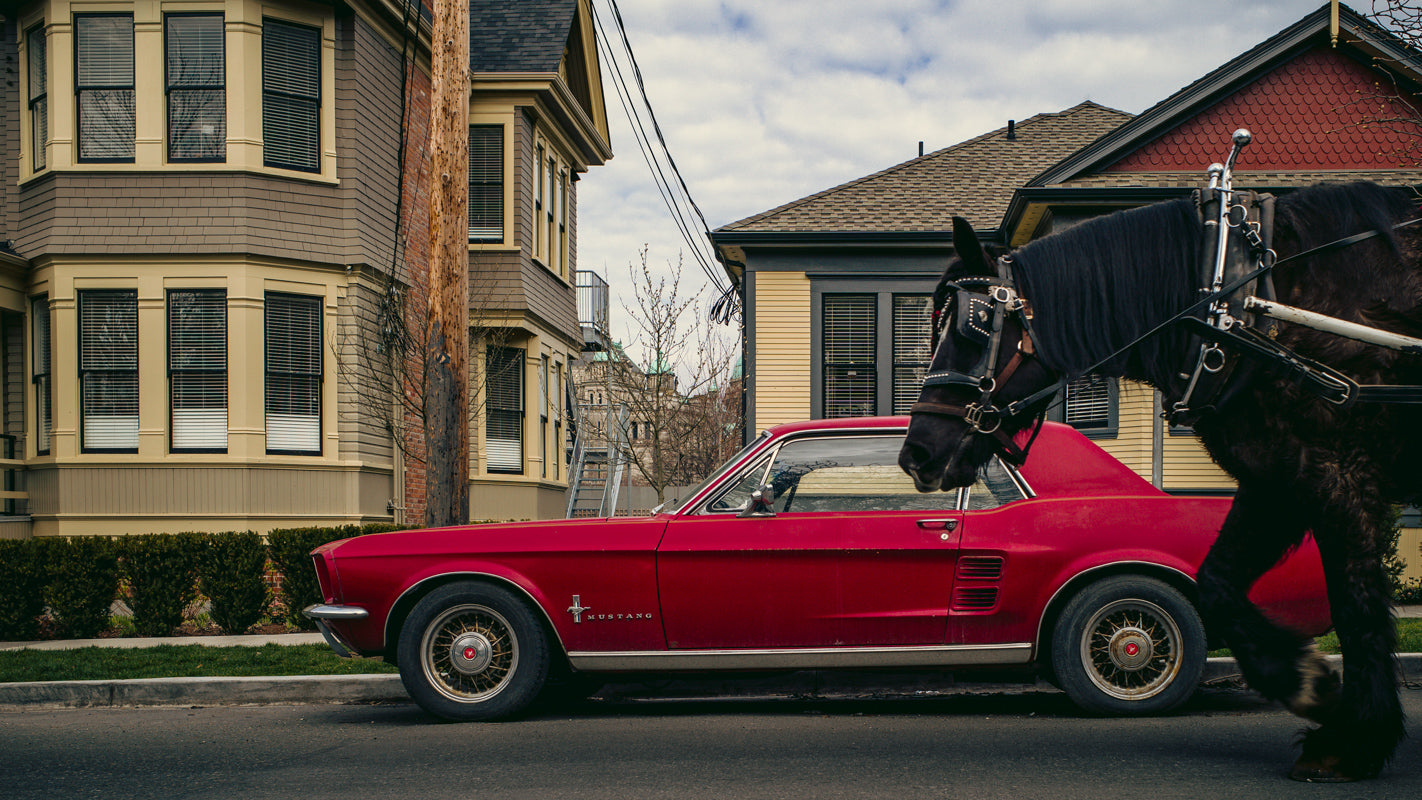 Red Mustang